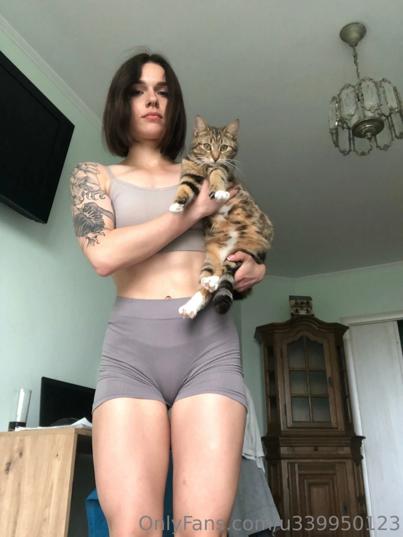 Hello do you like cute kitties there are two of us in the photo 