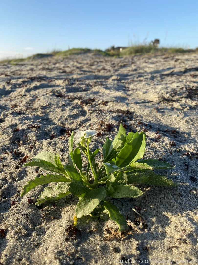 Here s some sneak peeks part 4 