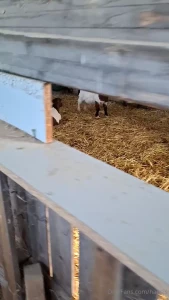 W nsche euch einen entspannten feiertag