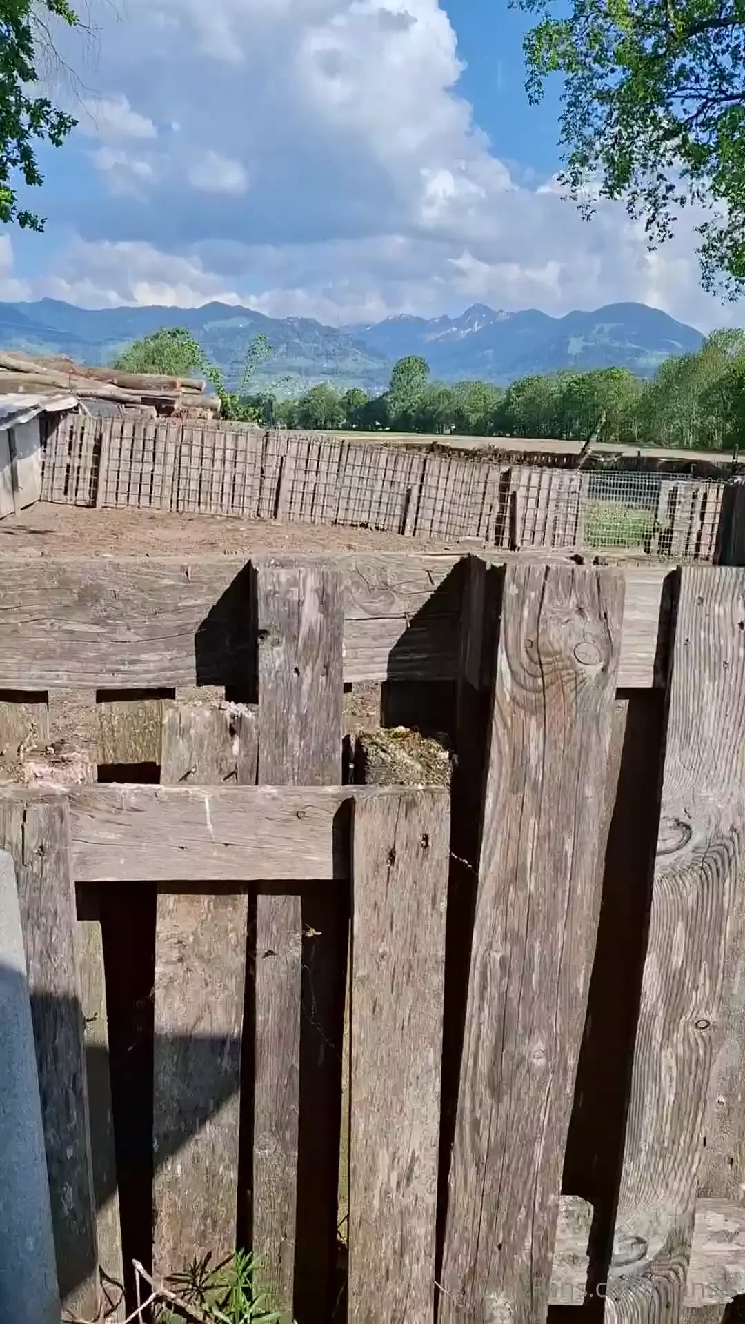 F tterung der r sselbande 