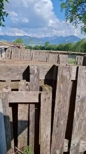 F tterung der r sselbande