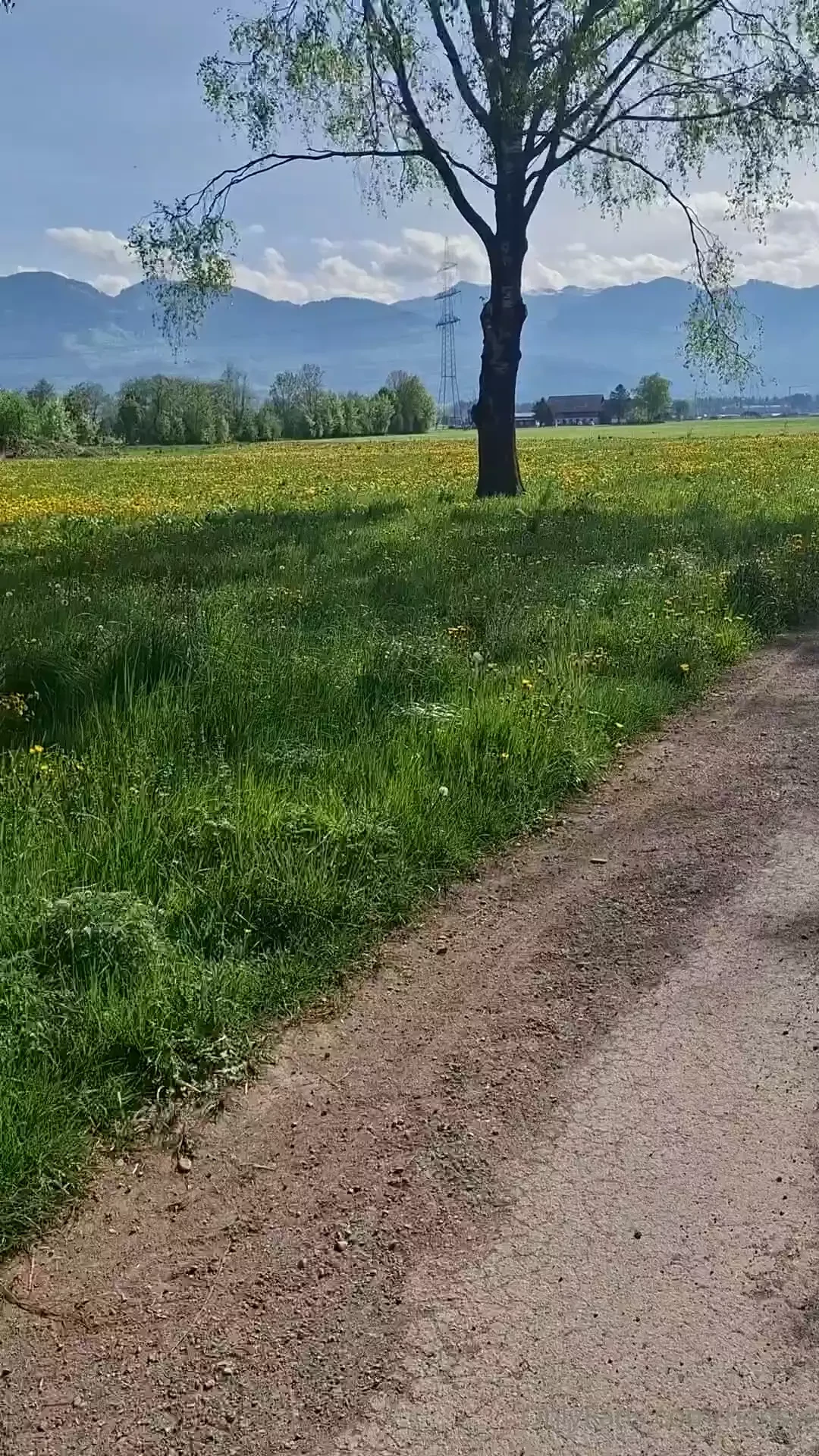 W nsche euch einen sch nen tag part 3 