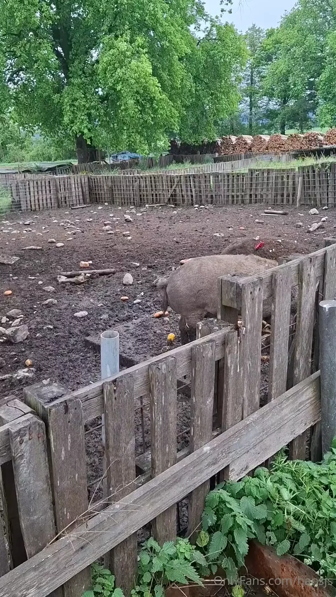 W nsche euch einen sch nen wochenstart part 3 