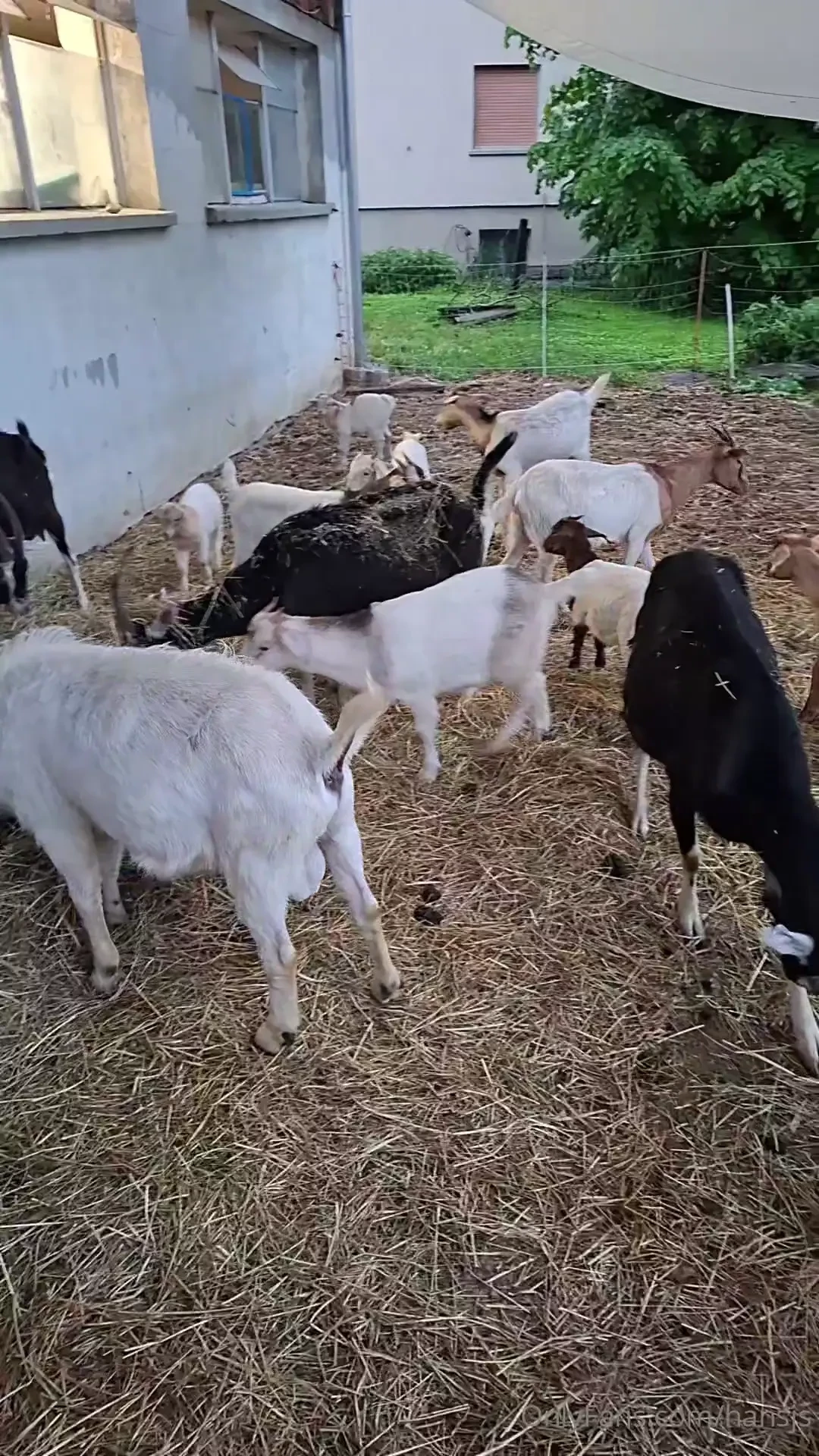 W nsche euch einen sch nen wochenstart part 2 