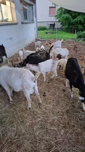 W nsche euch einen sch nen wochenstart part 2