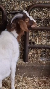 W nsche euch einen sch nen wochenstart part 1