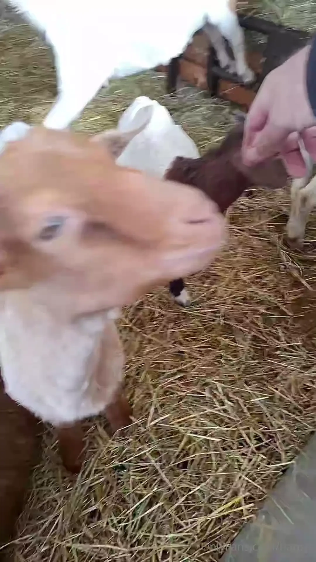 W nsche euch ein sch nes wochenende part 6 