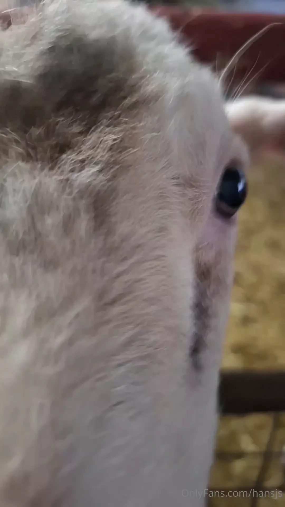 W nsche euch ein sch nes wochenende part 8 