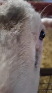 W nsche euch ein sch nes wochenende part 8