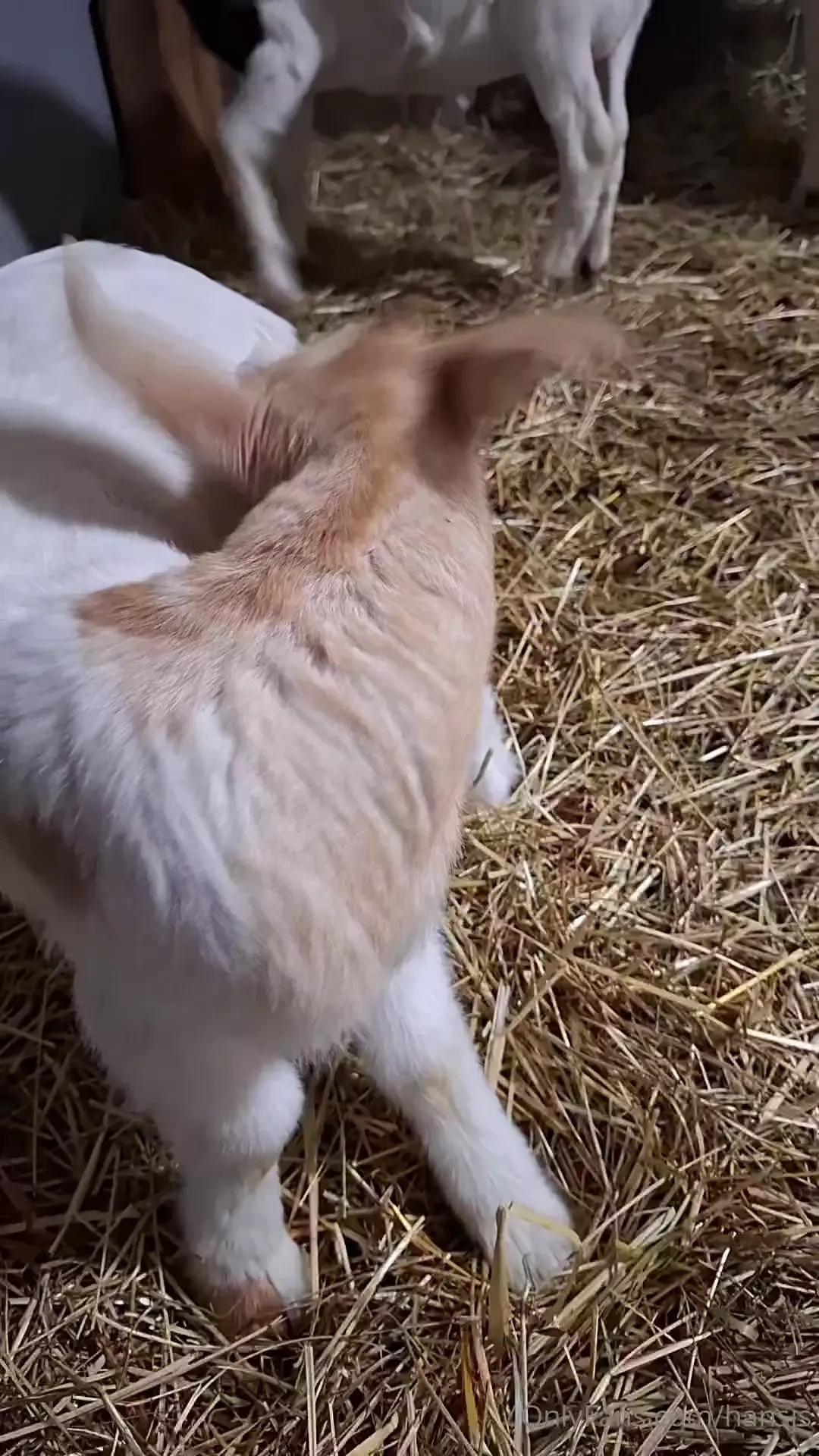 W nsche euch ein sch nes wochenende part 7 