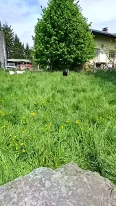 Stream started at 04 27 2025 01 01 pm entspannt den tag genie en