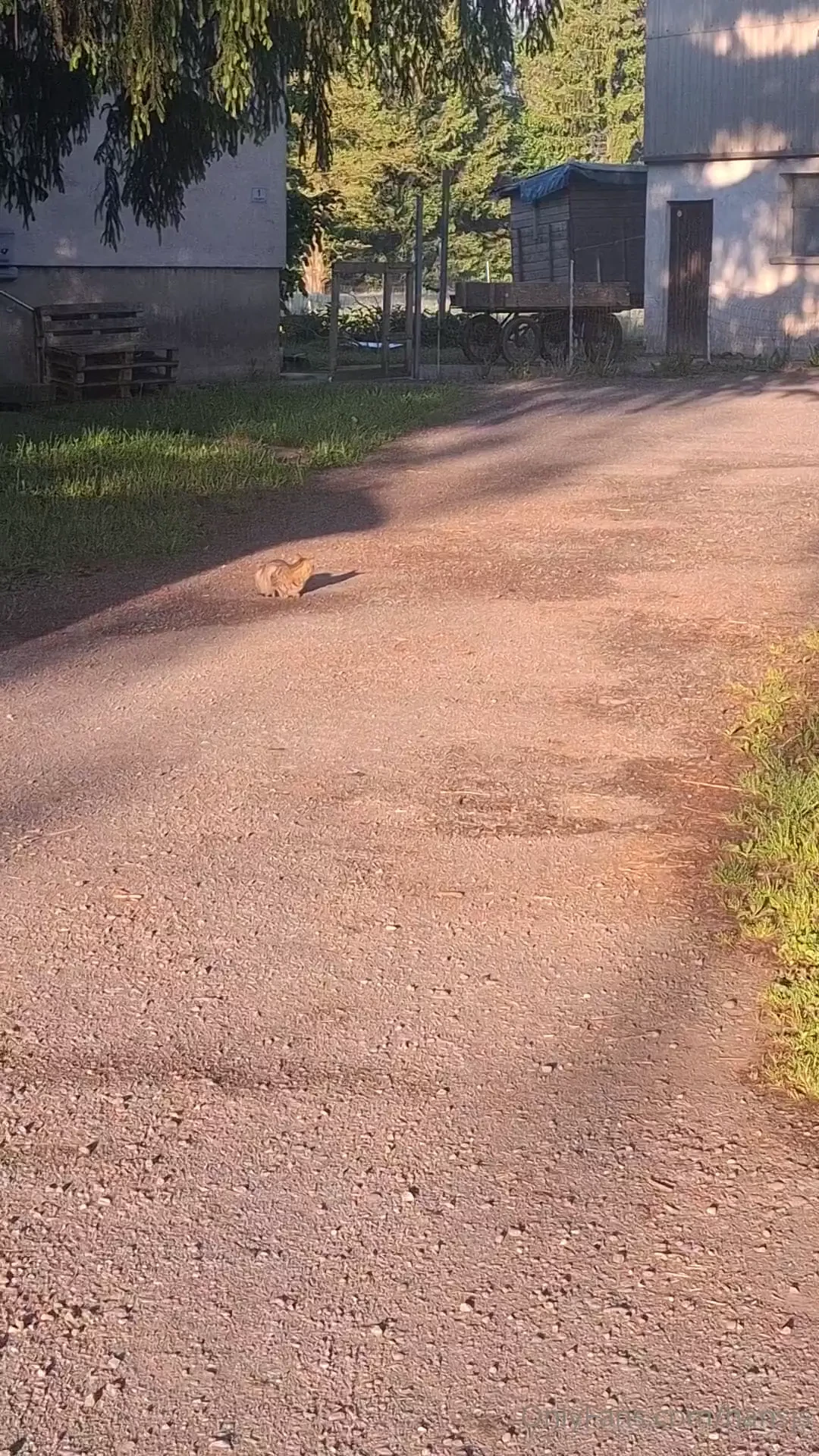 Moooaaasch nnn w nsche euch einen sch nen samstag 
