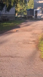 Moooaaasch nnn w nsche euch einen sch nen samstag