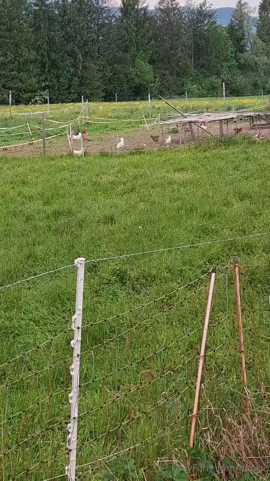 W nsche euch einen entspannten abend 