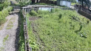 Momentan haben ein paar hummeln im hintern