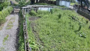 Momentan haben ein paar hummeln im hintern part 1