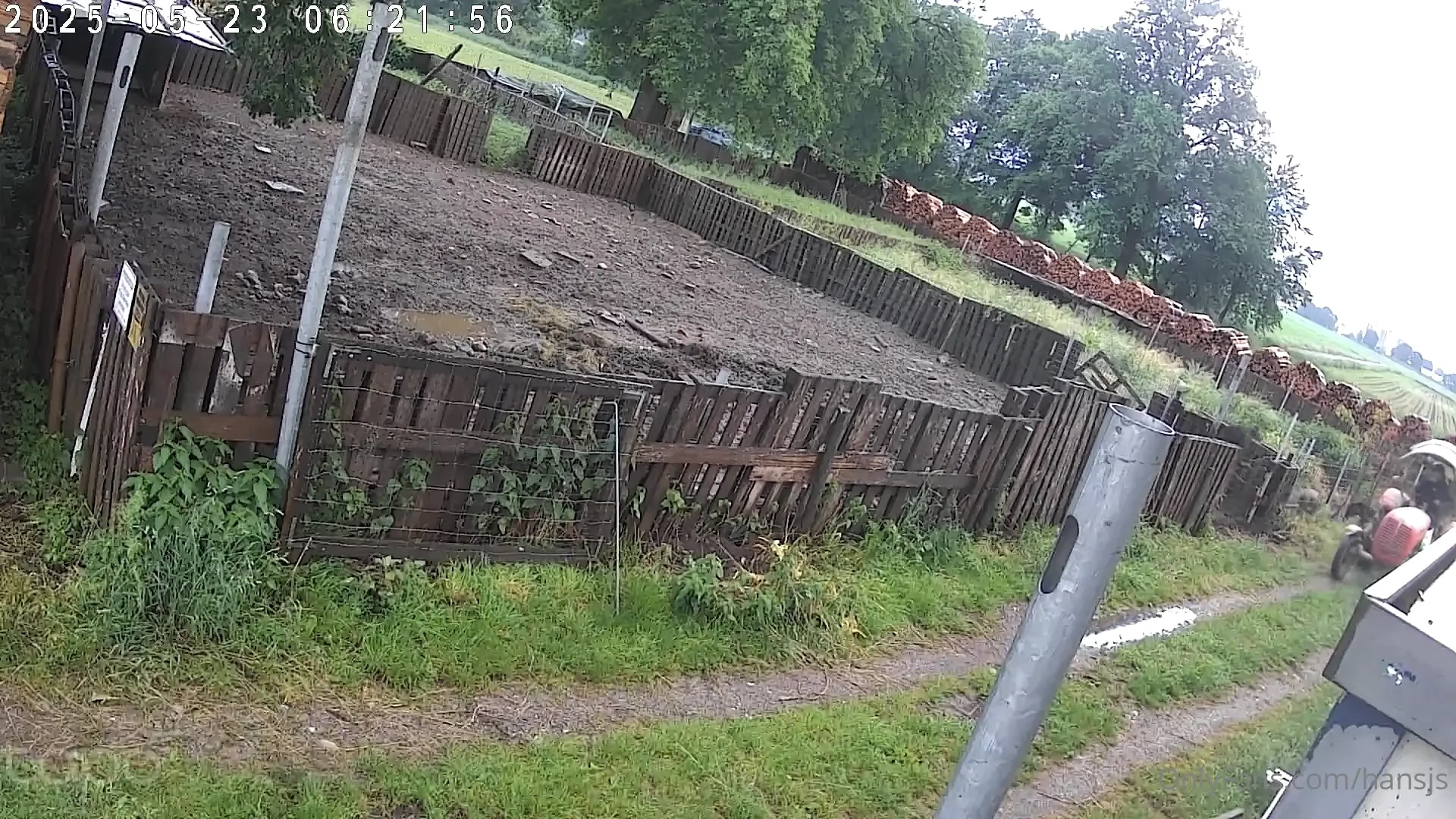 Momentan haben ein paar hummeln im hintern part 2 