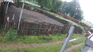 Momentan haben ein paar hummeln im hintern part 2