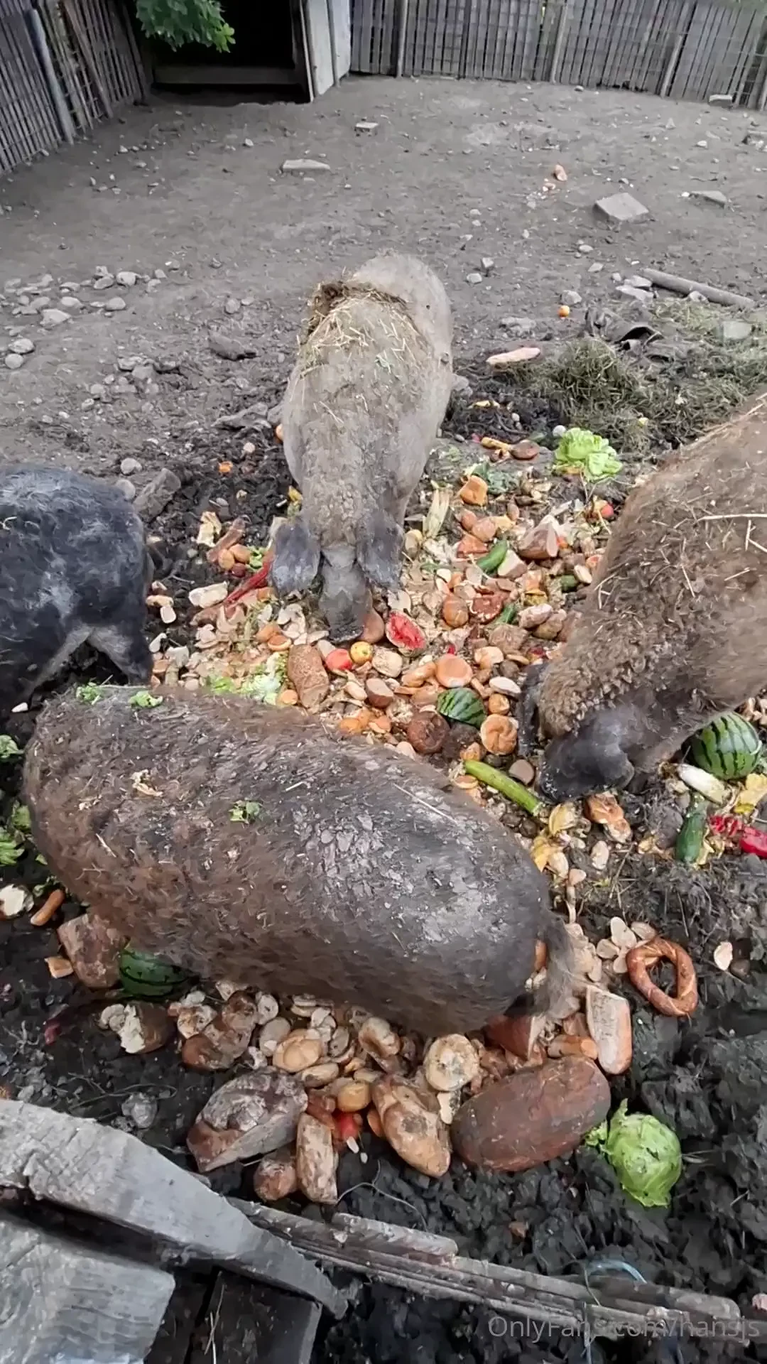 W nsche euch einen sch nen abend part 37 