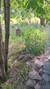 Die zickenbande part 1