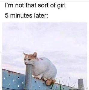 Meme sfw bbw redhead allnatural altgirl bigtits facial