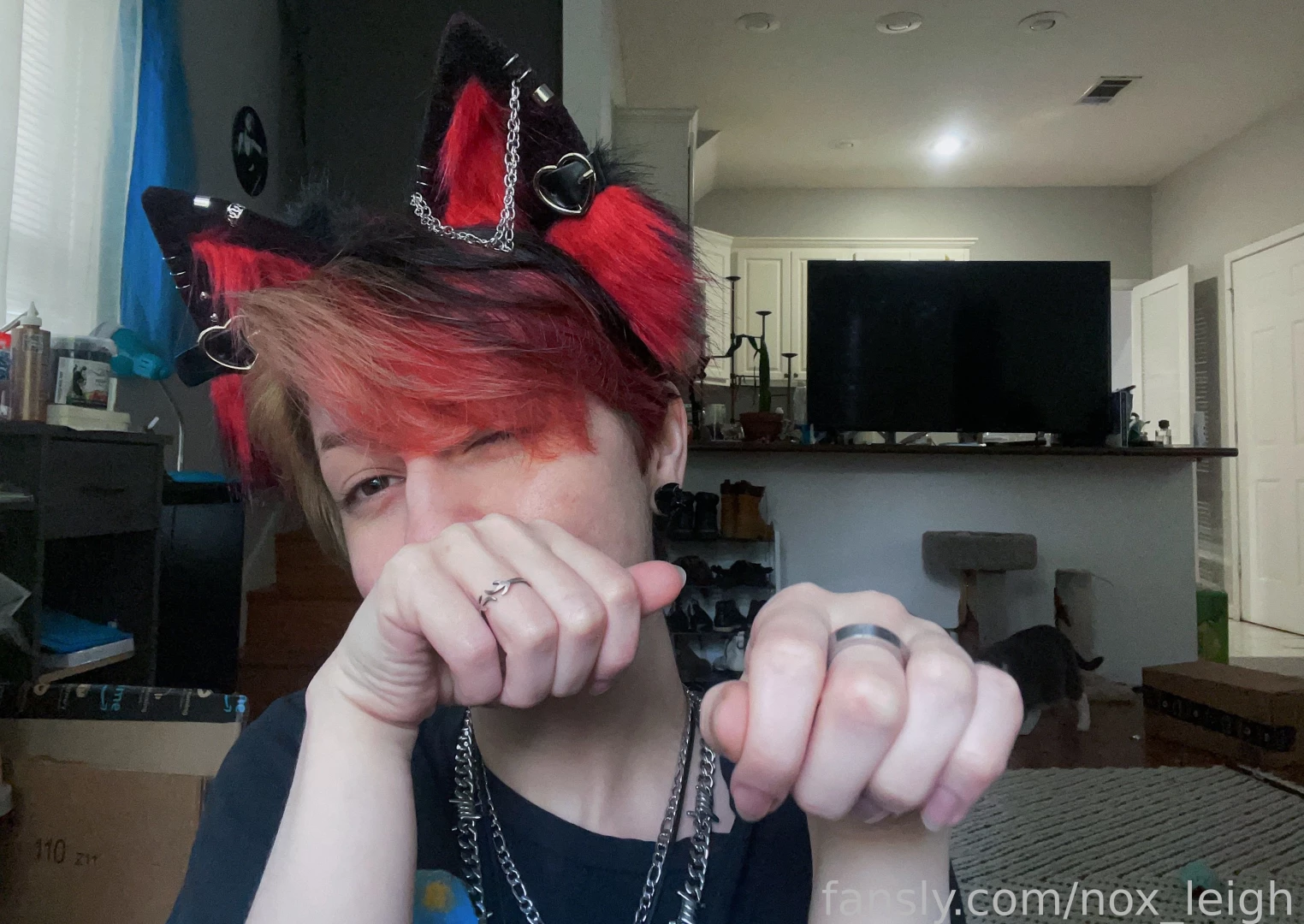 I ll admit it they re pretty cute do you like ears do you have a 