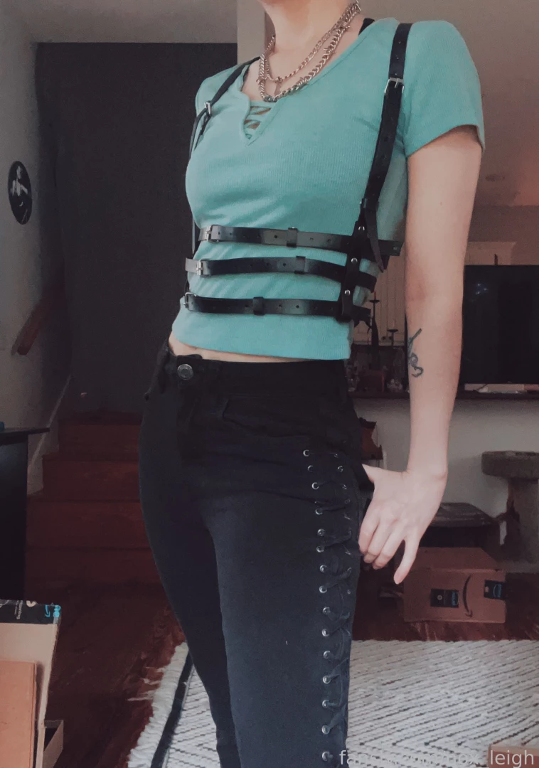 Thank goodness i remembered i had this incredible harness hiding in part 3 