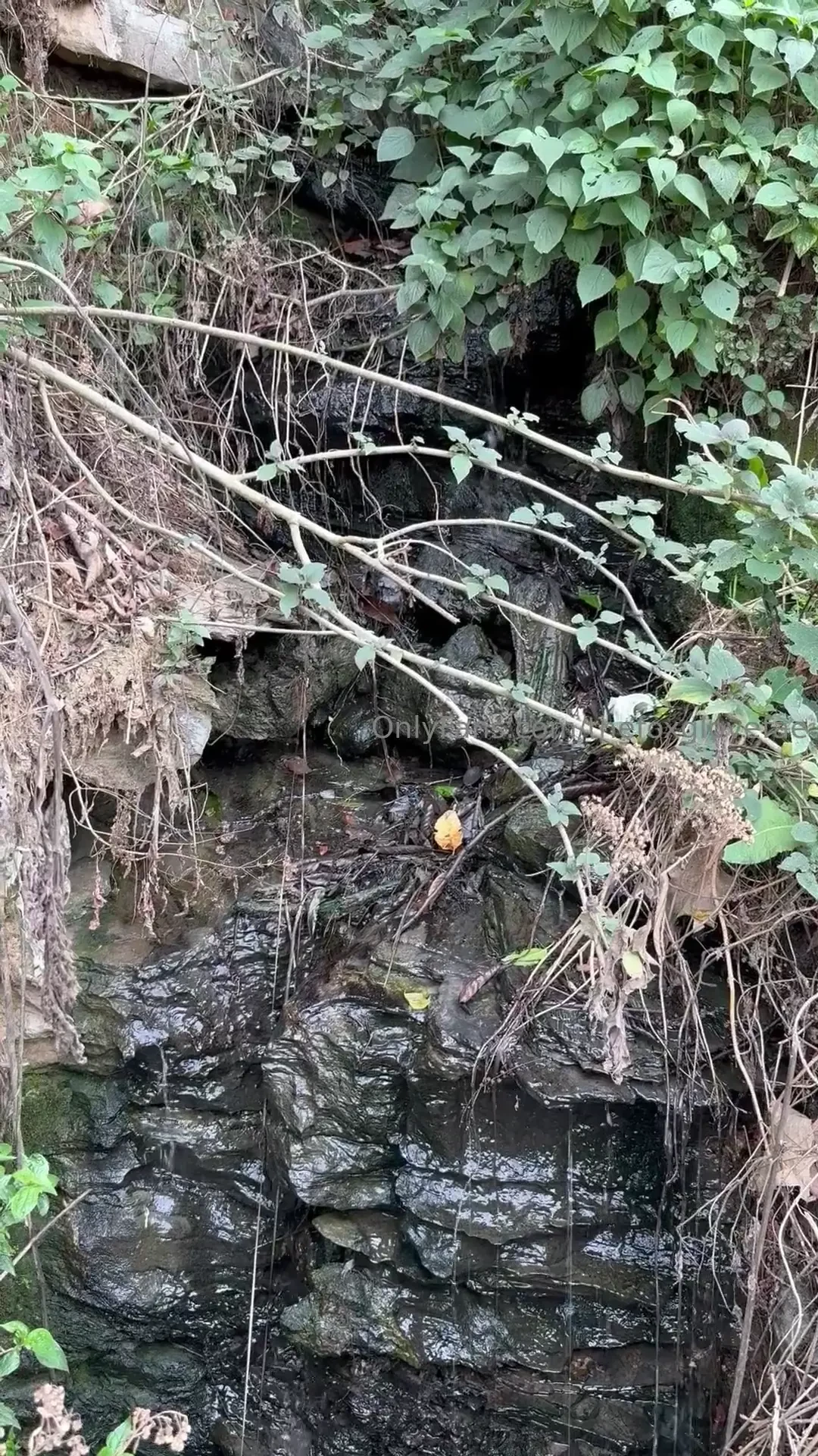 Nothing like a 4 hour solo hike through the mountains in mexico part 4 