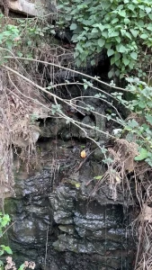 Nothing like a 4 hour solo hike through the mountains in mexico part 4