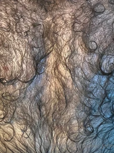 Furrrriday happy friday enjoy the closeupsnin the fur part 2