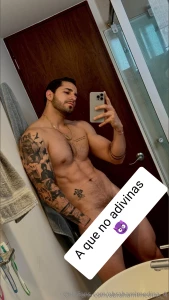 A que no adivinas de que color son los boxer
