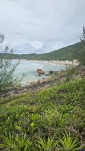 Hope you like beaches and bitches