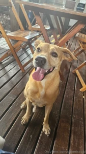 Hope you like beaches and bitches part 3