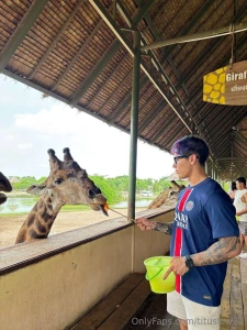 I am loving the wildlife