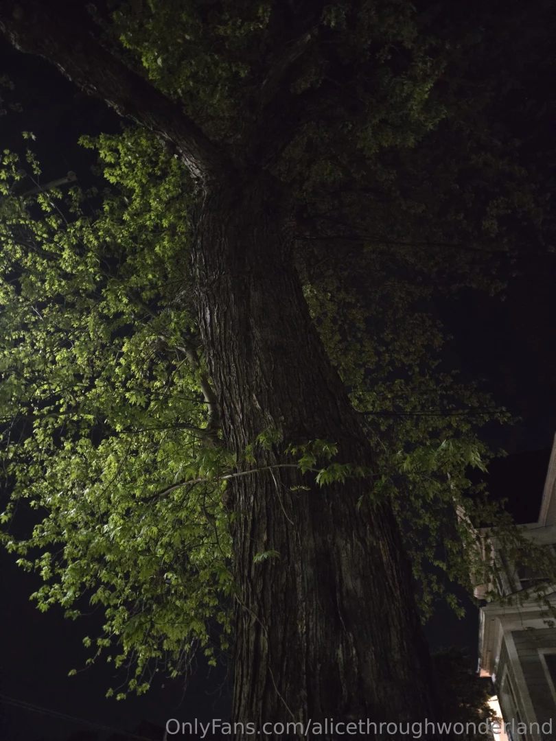 Looks like i m back to dating no point throwing them wishes in the part 1 