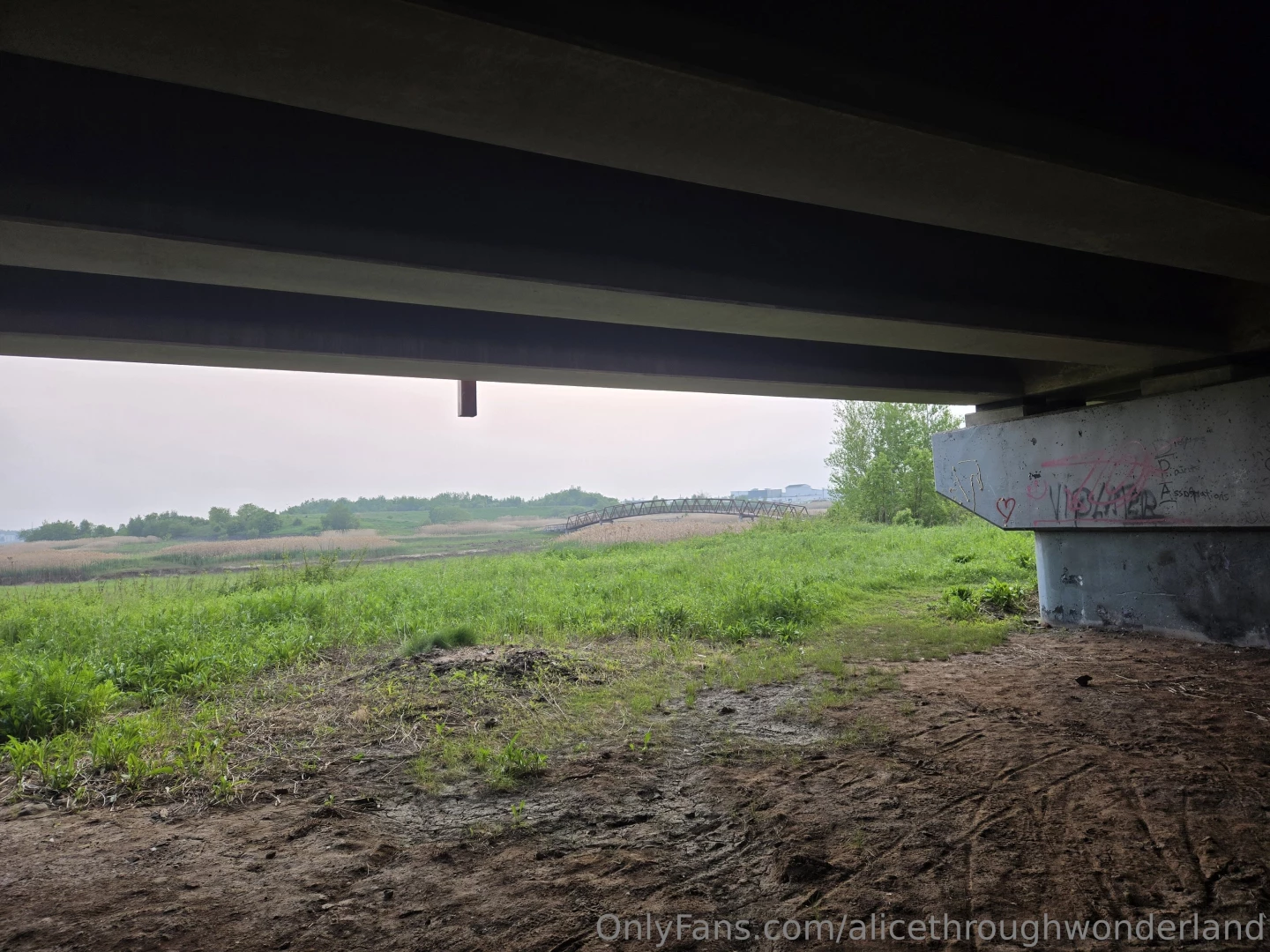 Punk show under the bridge part 1 