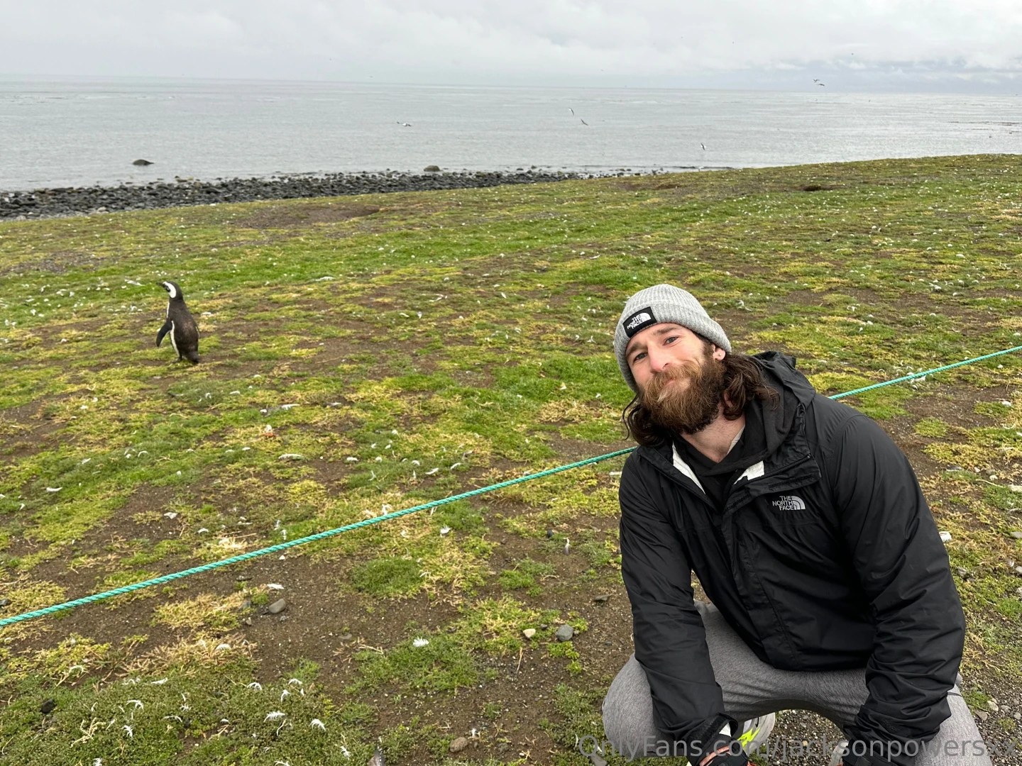 Beef sample time me and my penguins on isla magdalena chile 