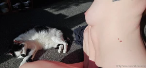 Chilling in the sun with the kitty what s your favorite season tell me