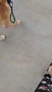 Everyday me and my girl