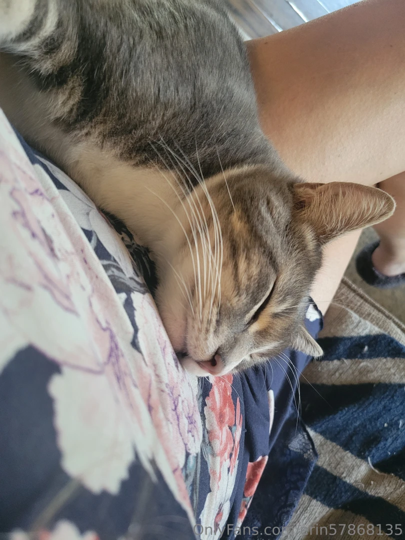 Good morning meet biggs guardian of my lap 