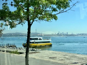 Hey i wanted to share my thoughts and atmosphere with you went for a