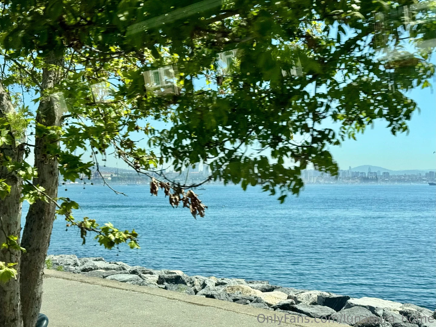 Hey i wanted to share my thoughts and atmosphere with you went for a part 1 