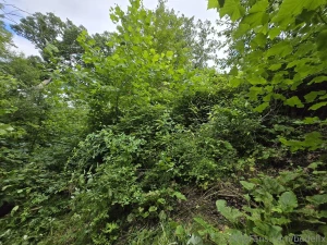 Got some more work done at my grandmother s up by the house now part 3