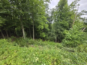 Got some more work done at my grandmother s up by the house now part 4