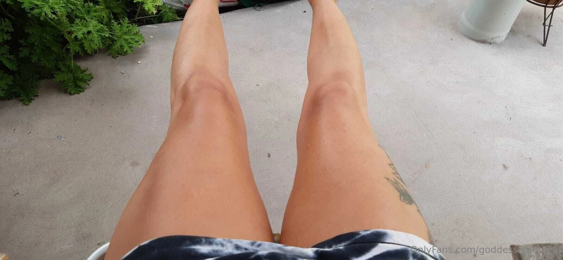 I train my legs every day so just look at them and praise them because 
