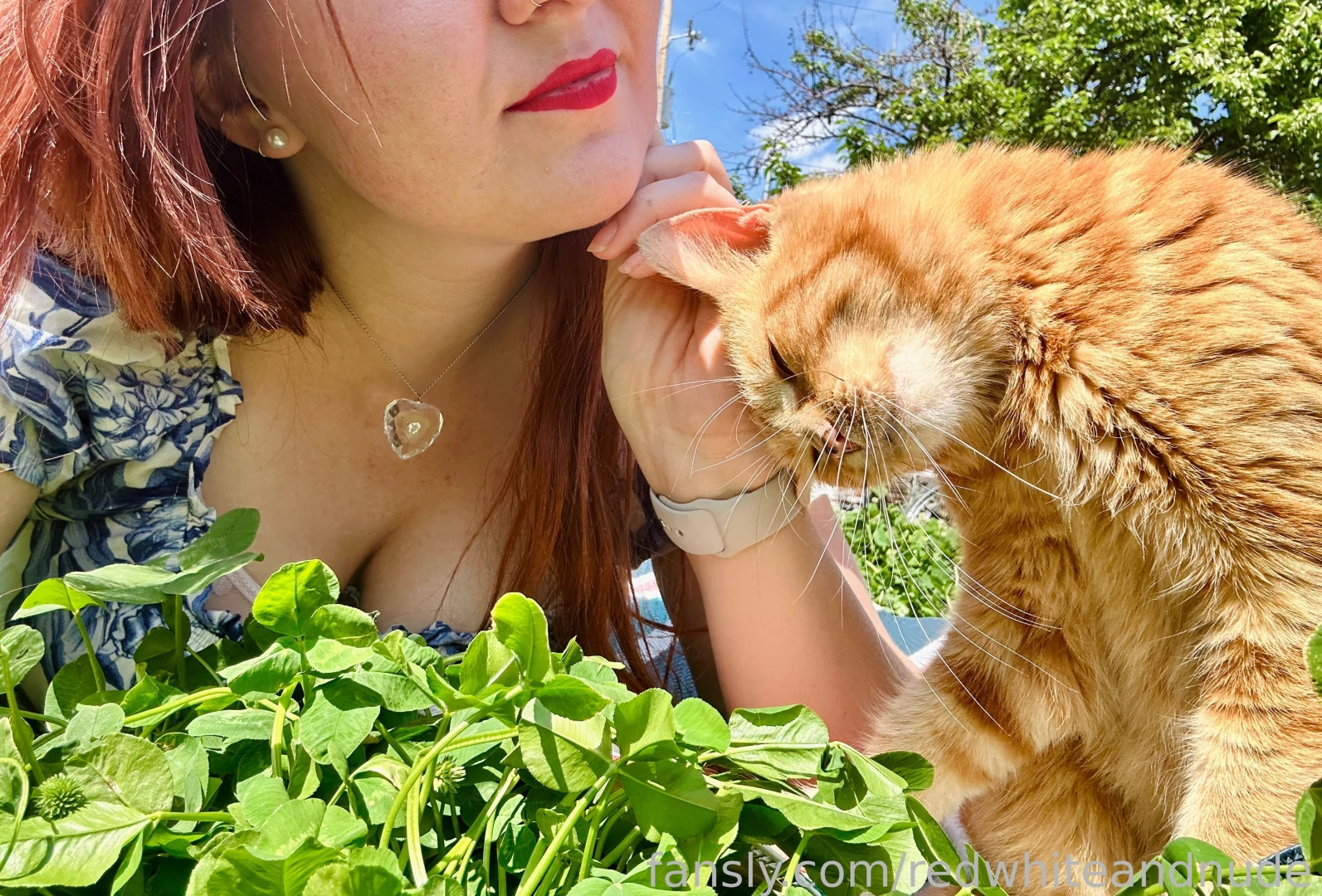 We both have orange cat energy tbh part 1 