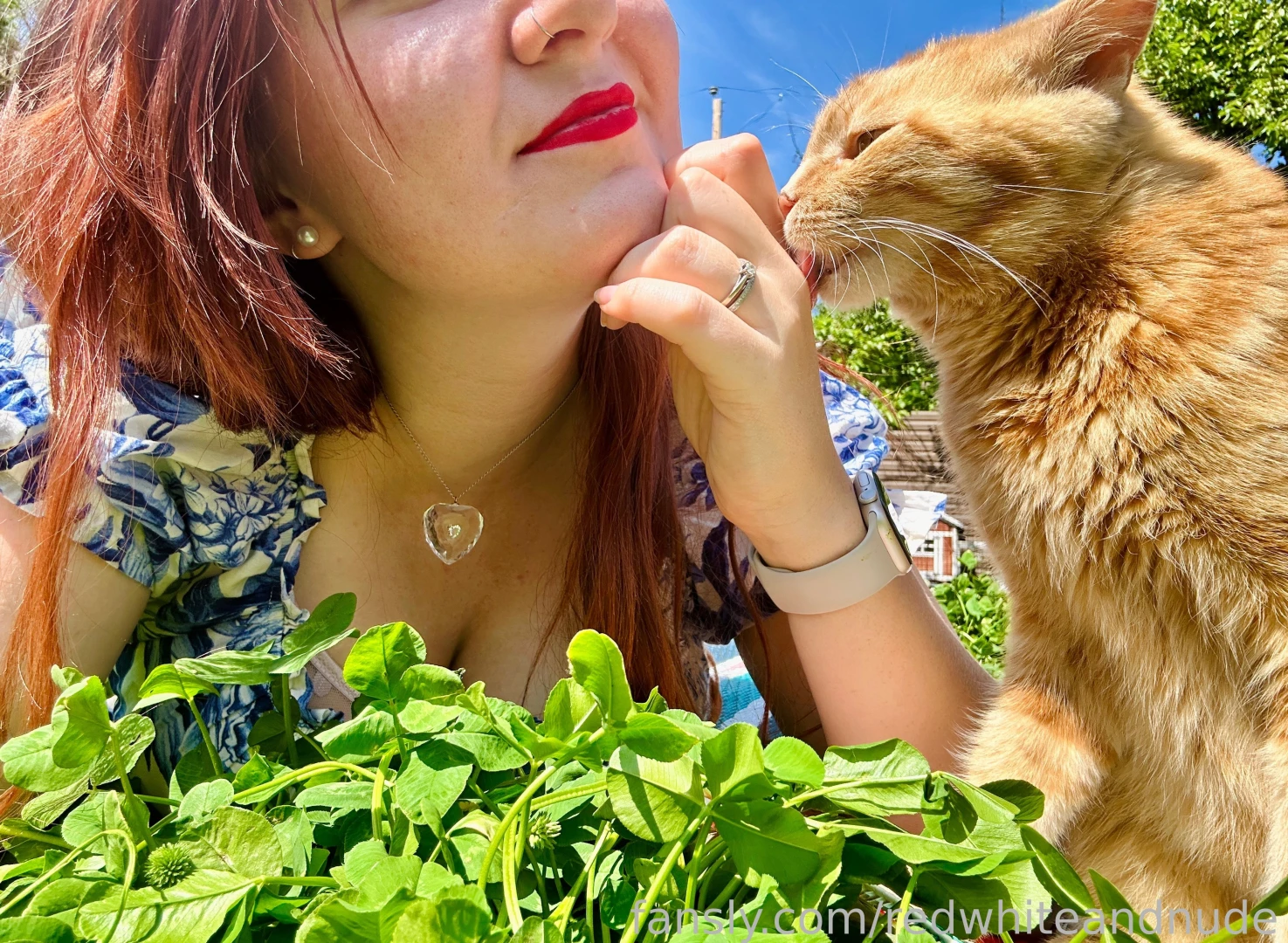 We both have orange cat energy tbh part 2 
