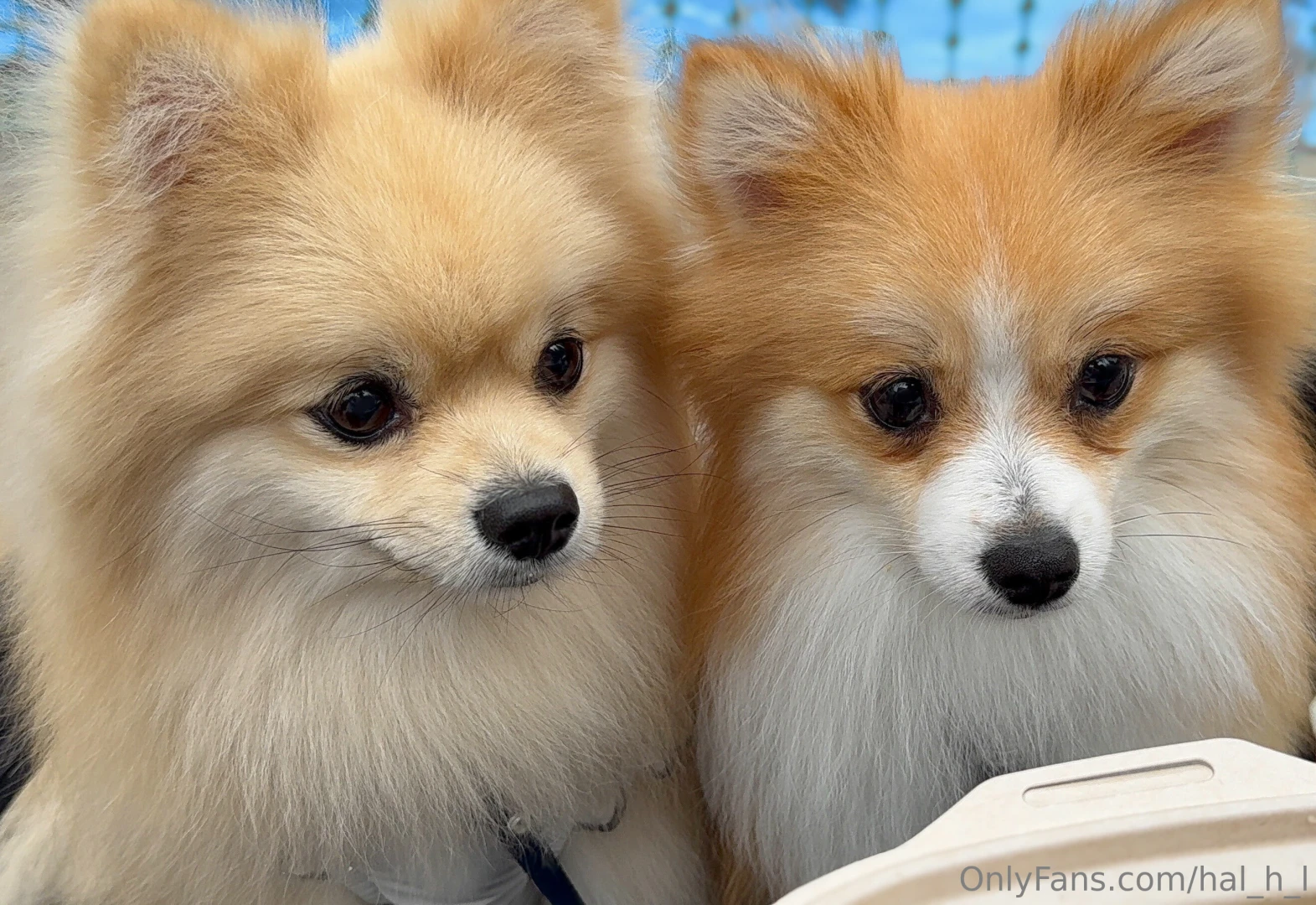 Hi thank you for many likes for my posts you always make me happy i ll part 49 