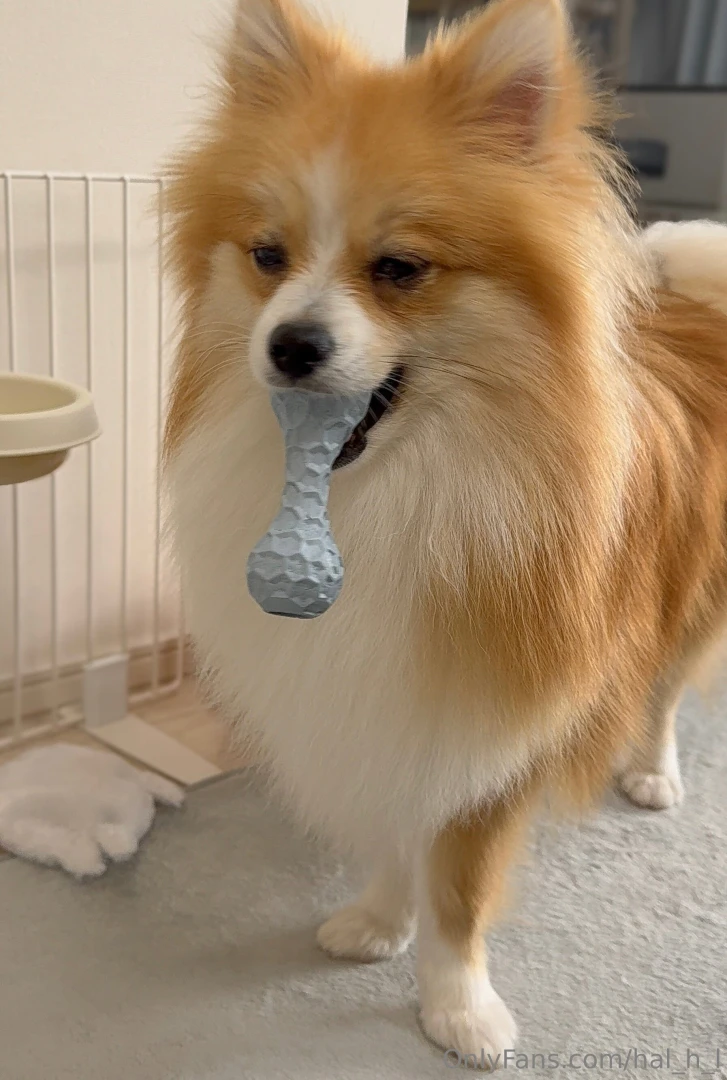 Hi thank you for many likes for my posts you always make me happy i ll part 50 