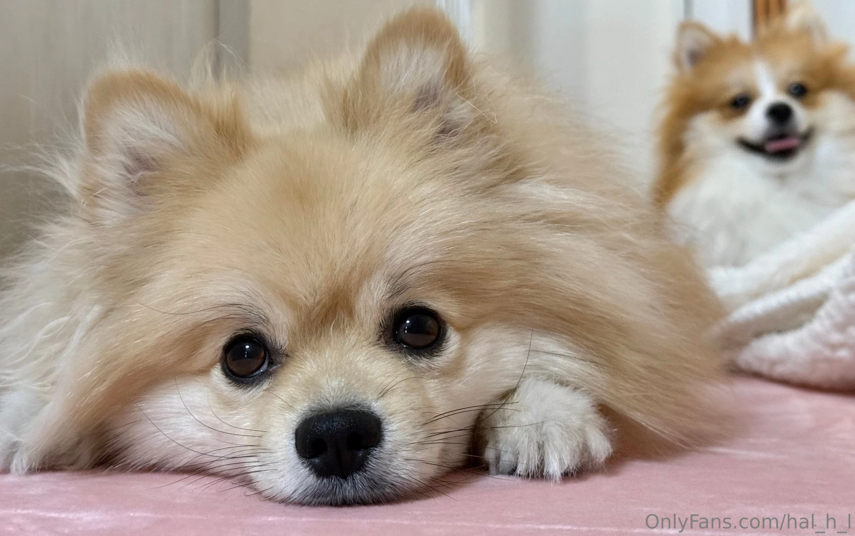 Hi thank you for many likes for my posts you always make me happy i ll part 51 